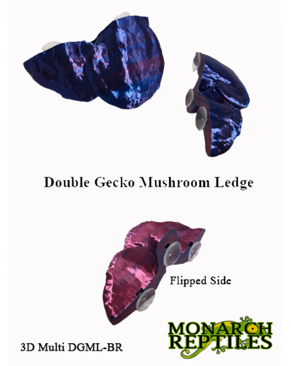 3D- Gecko Mushroom Ledge  -Double