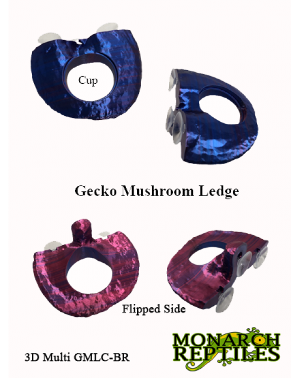 3D- Gecko Mushroom Deli Cup  -single