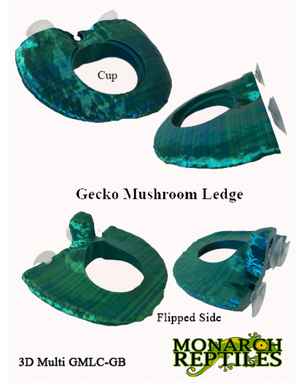 3D- Gecko Mushroom Deli Cup  -single