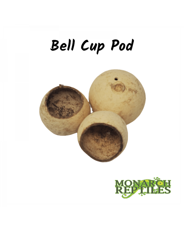 Bell Cups Pods