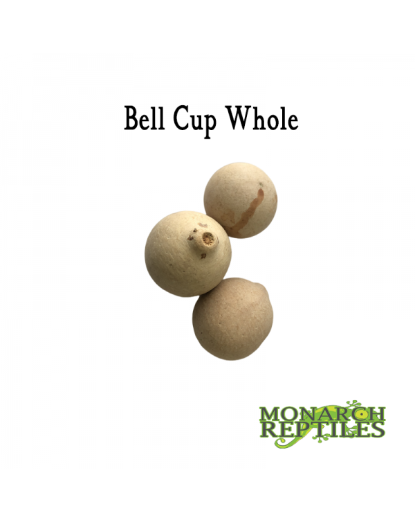 Bell Cups Pods -  Whole