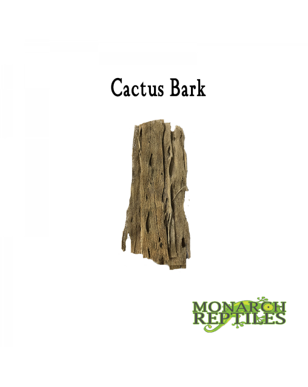 Cactus Bark 