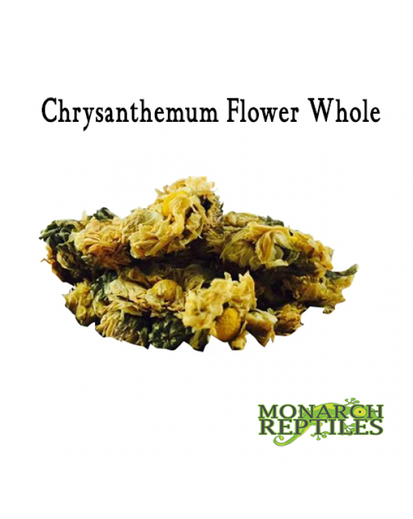 Chrysanthemum Flower -10 grams