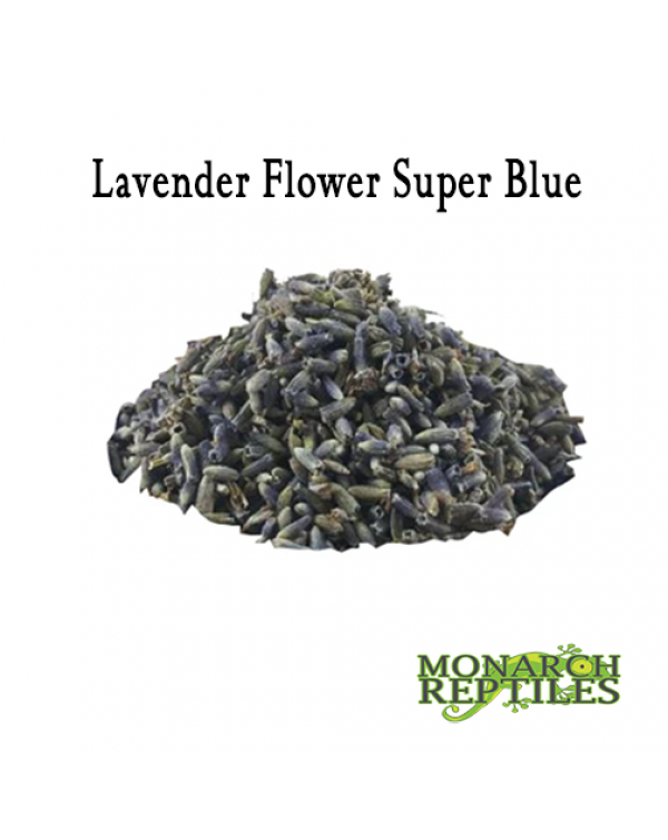 Lavender Flower Super Blue -50 grams