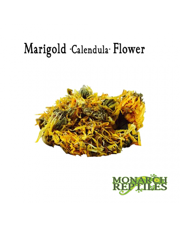 Marigold  (Calendula)  Flower - 30 grams