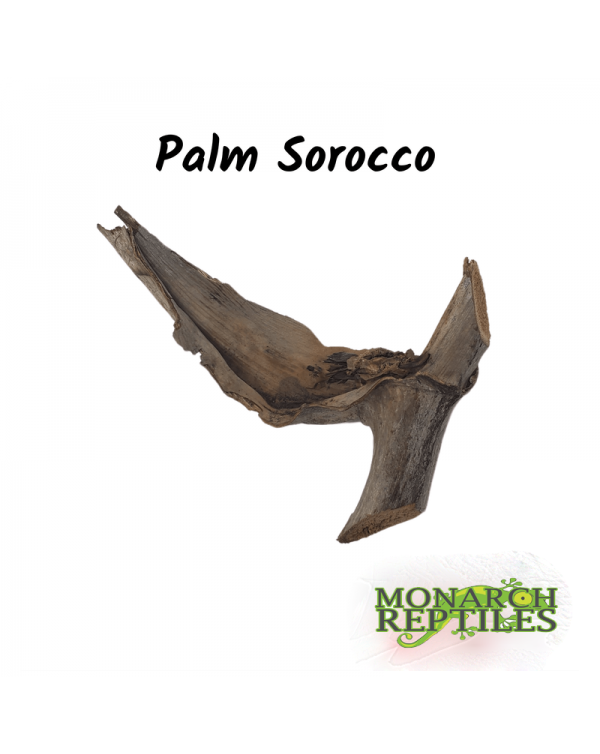 Palm Sorocco Pod