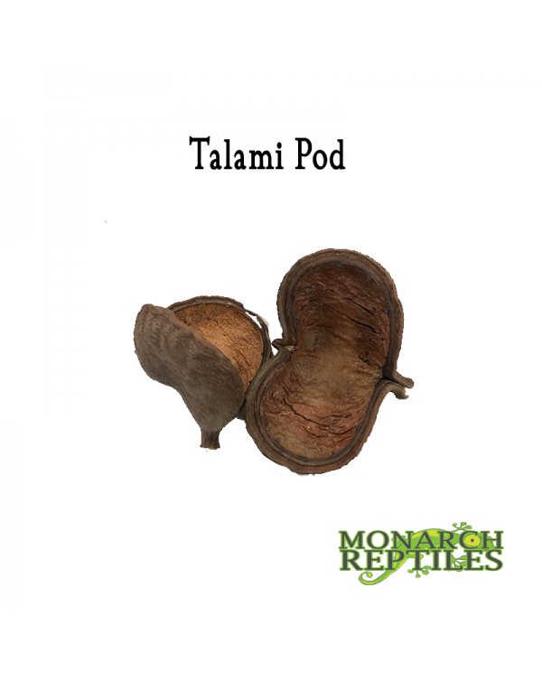 Talami Pods