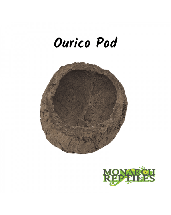 Ourico Pod