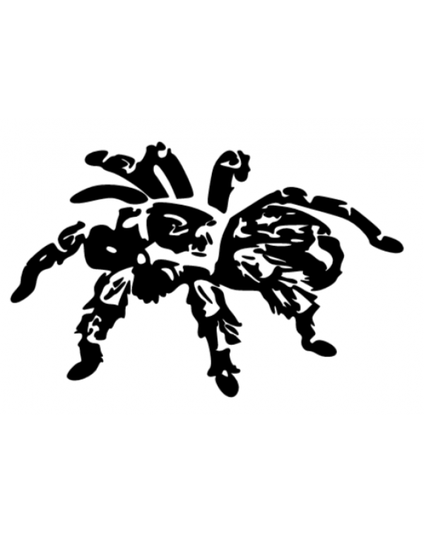 Tarantula  vinyl sticker -silhouette