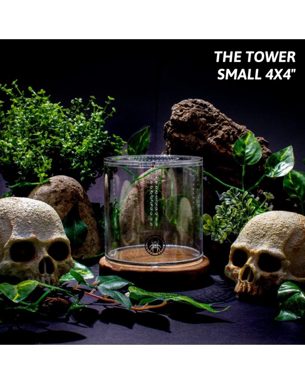 Primal Fear - The Tower - Small 4x4