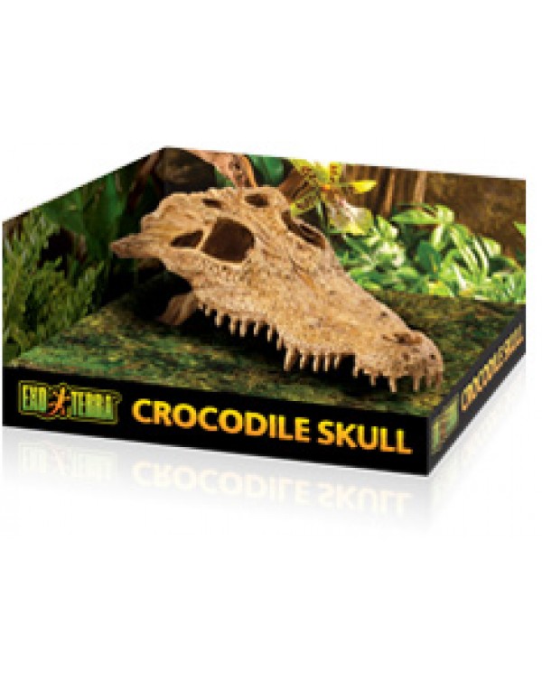 Exo Terra - Crocodile Skull- Large