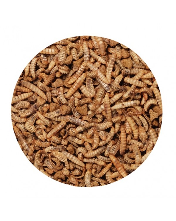 LWG - Green Gourmet Toppers - Insects - 125 g (4.4 oz)