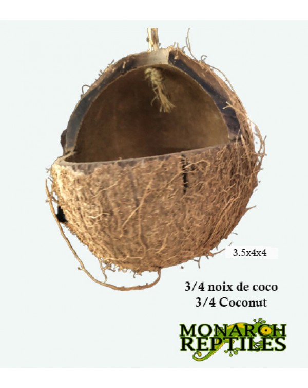 Monarch Reptiles - 3/4 coconut