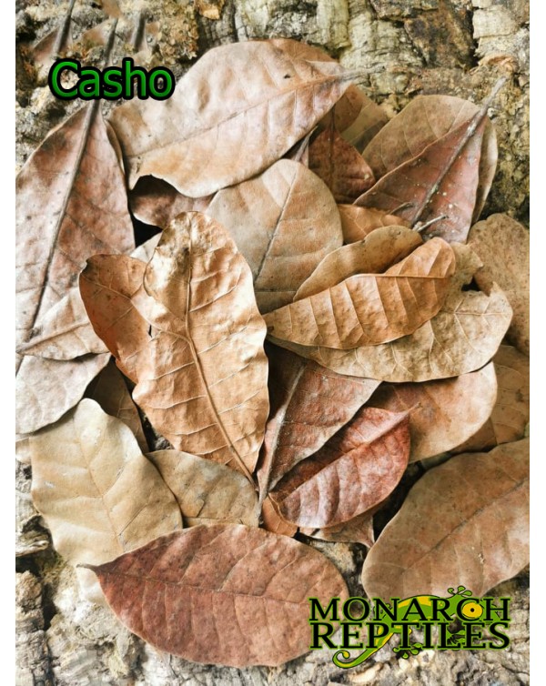 Casho Leaves