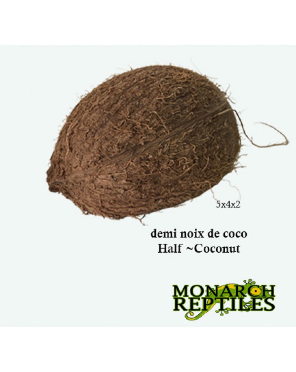 Monarch Reptiles - Half Coconut