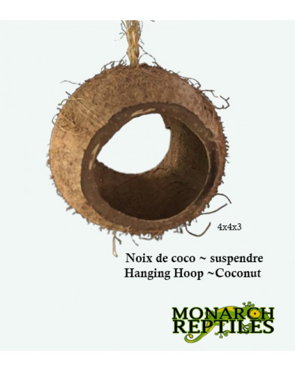 Monarch Reptiles - Hanging Hoop ~ Coconut