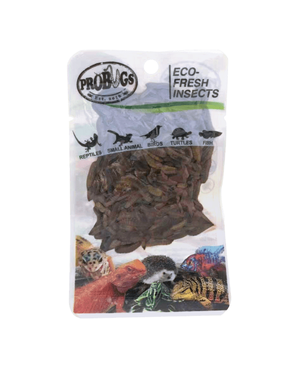 Pro-Bugs Black Soldier Fly Larvae