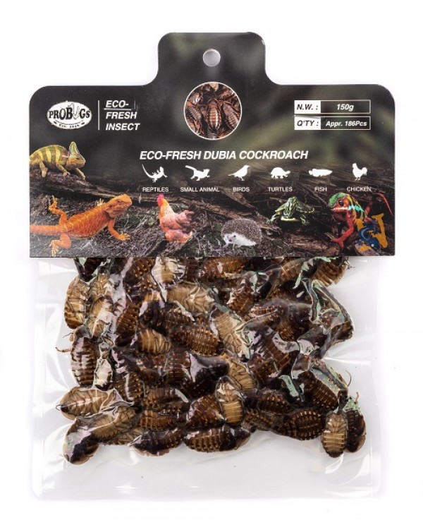  Pro-Bugs Eco-Fresh Bulk Dubia CockRoaches- 150g 