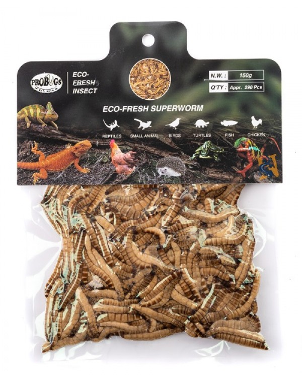  Pro-Bugs Eco-Fresh Bulk Superworms- 150g 