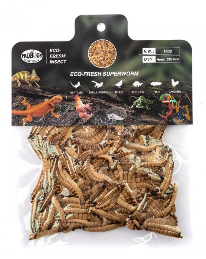 ProBugs Eco-Fresh Bulk Superworms 150gm