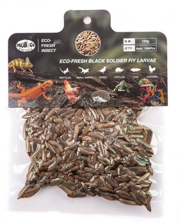  Pro-Bugs Eco-Fresh Bulk Black Soldier Fly Larvae - 150g
