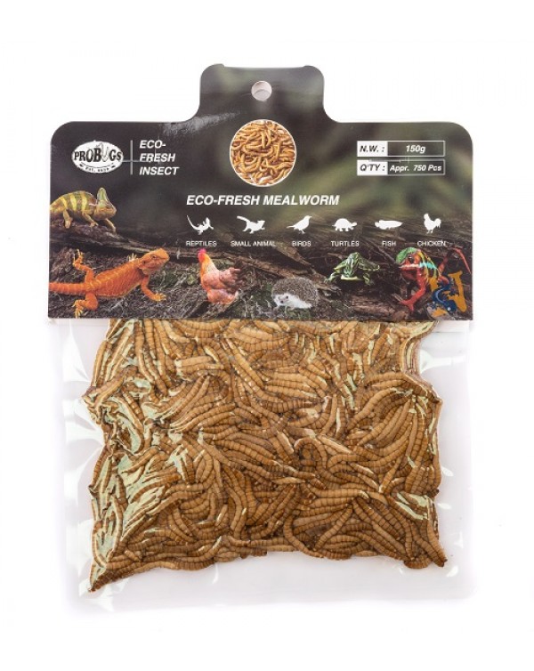  Pro-Bugs Eco-Fresh Bulk Mealworms- 150g 