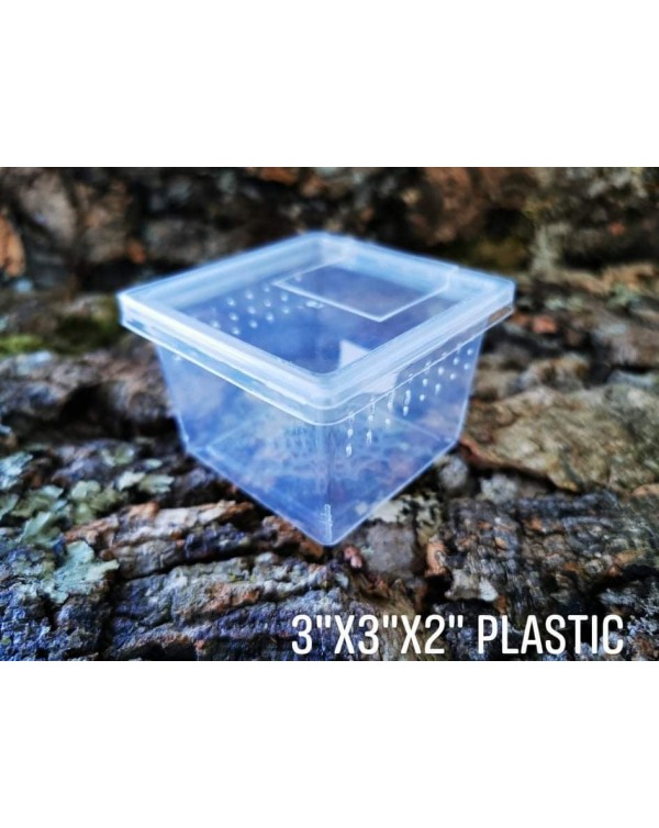 ReptiZoo  - Spider Terrarium - Cube 3x3x2 - Plastic