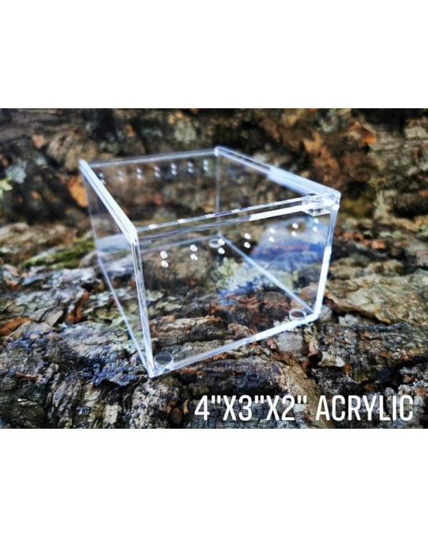 RZ - Acrylic Breeding Enclosure (Transparent) - 4 x 3 x 2