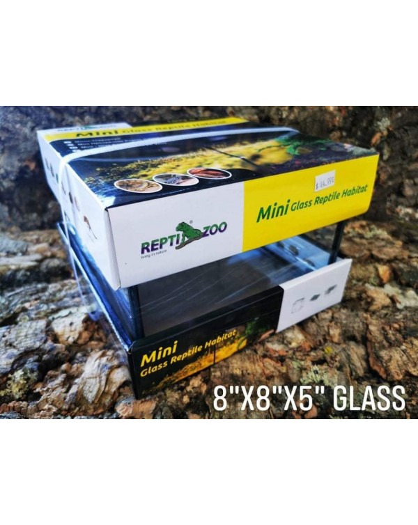 ReptiZoo  - Reptile Terrarium - 8 x 8 x 5 - Mini Glass