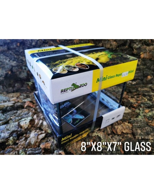 ReptiZoo  - Reptile Terrarium - 8 x 8 x 7 - Mini Glass