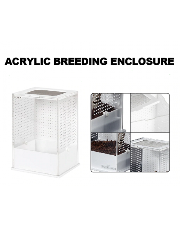 ReptiZoo  - Acrylic Breeding Enclosure- ACR09A- 12x12x18