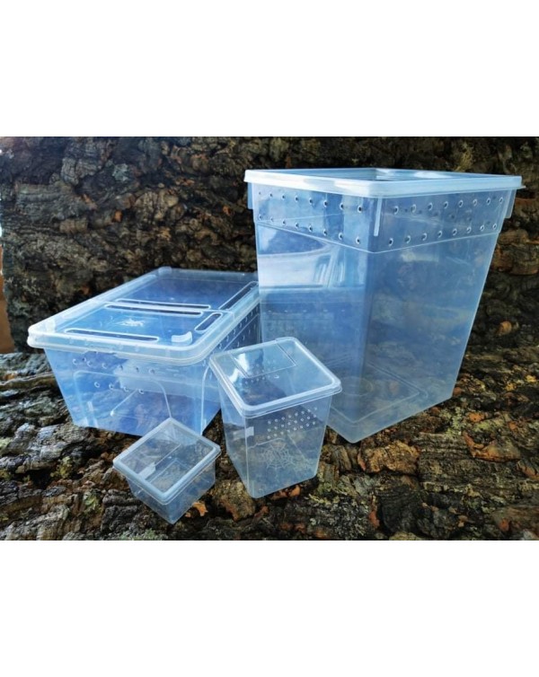 ReptiZoo - Hinged Lid Stackable Box -11x7x5 - Plastic