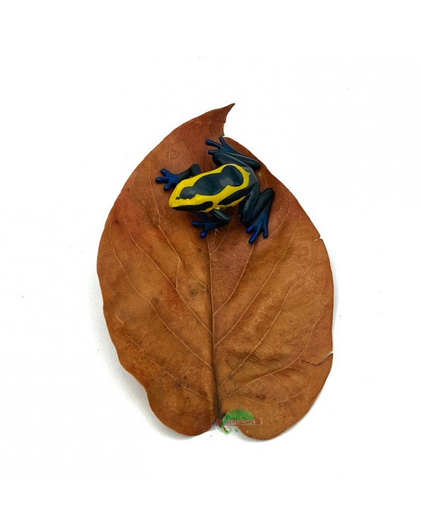 Reptiscape - Avocado Leaves