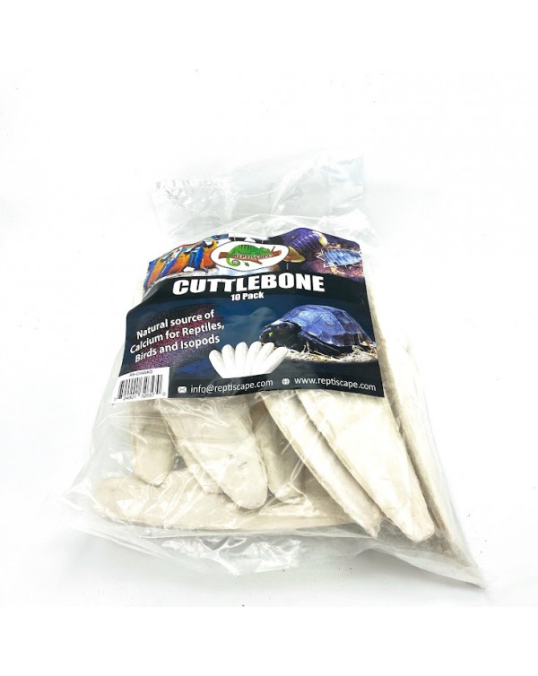 Reptiscape - Cuttlebone –10 pack