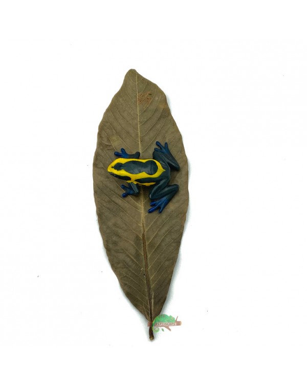 Reptiscape - Ketakera Leaves