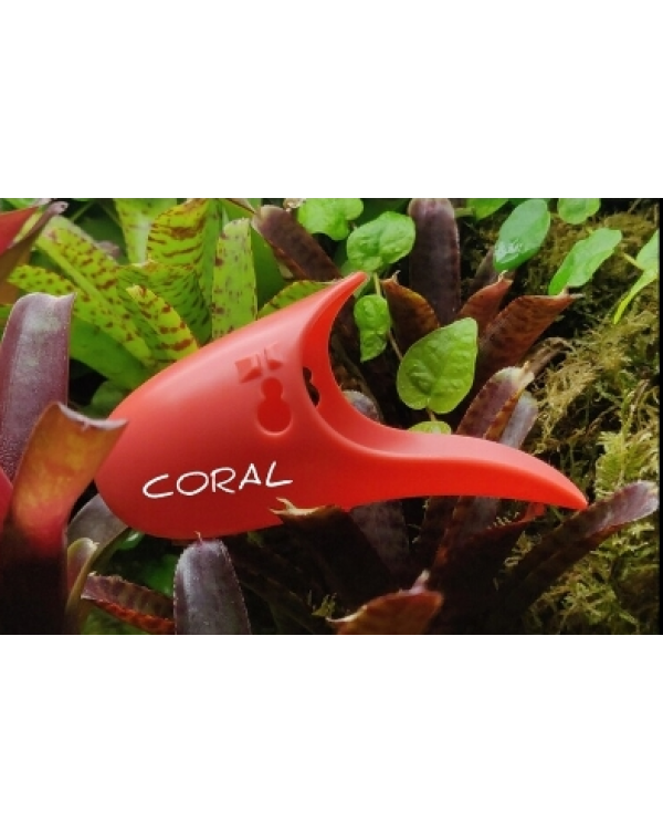Tad Pool –Coral Cup Set  Suction