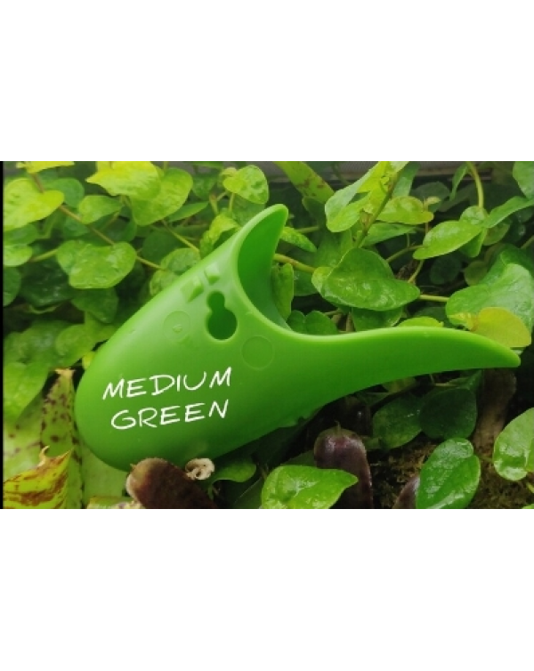 Tad Pool –Medium Green Cup Set  Hard Wire