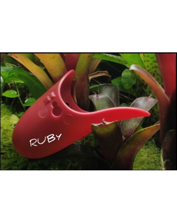 Tad Pool –Ruby Cup Set - Suction