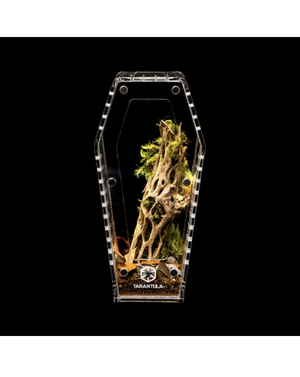 Tarantula Cribs - Coffin mini 6''x3''x3''