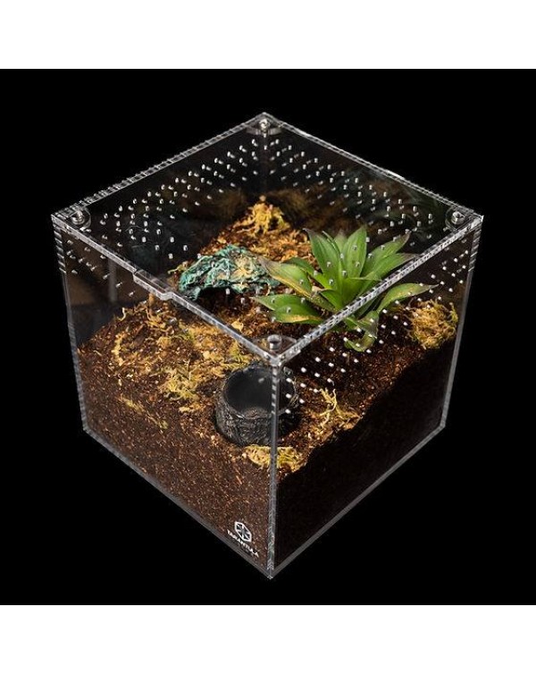Tarantula Cribs - 3"x3"x3" Cube