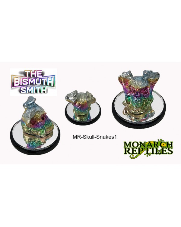 The Bismuth Smith -  Skull w/2 Snakes 1