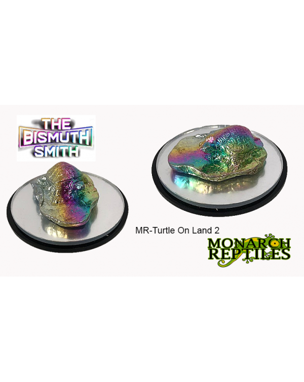 The Bismuth Smith -  Turtle on Land 2