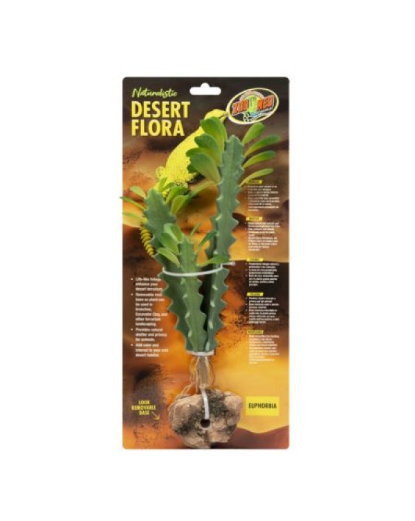 Zoomed Desert Flora – Euphorbia