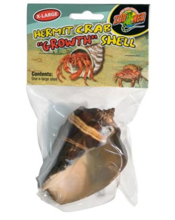 Zoomed - Hermit Crab "Growth" Shell - x-large 1 per pack