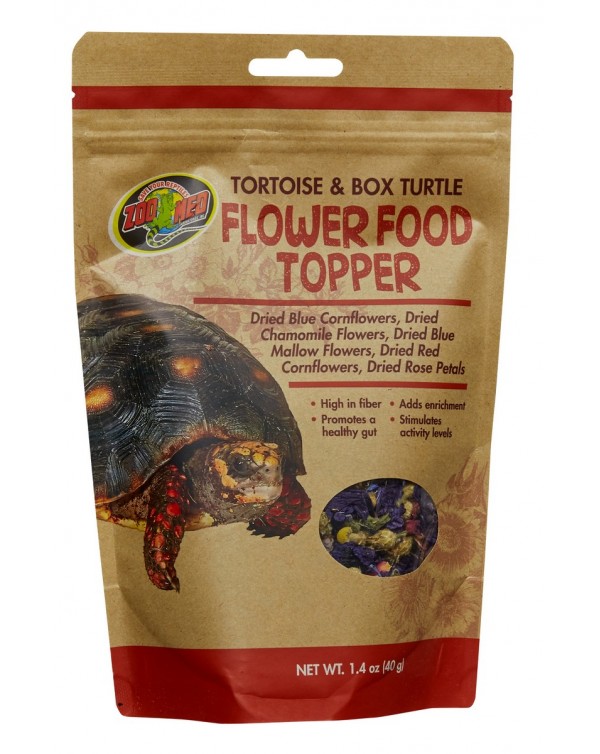 Zoomed Tortoise & Box Turtle Flower Food Topper