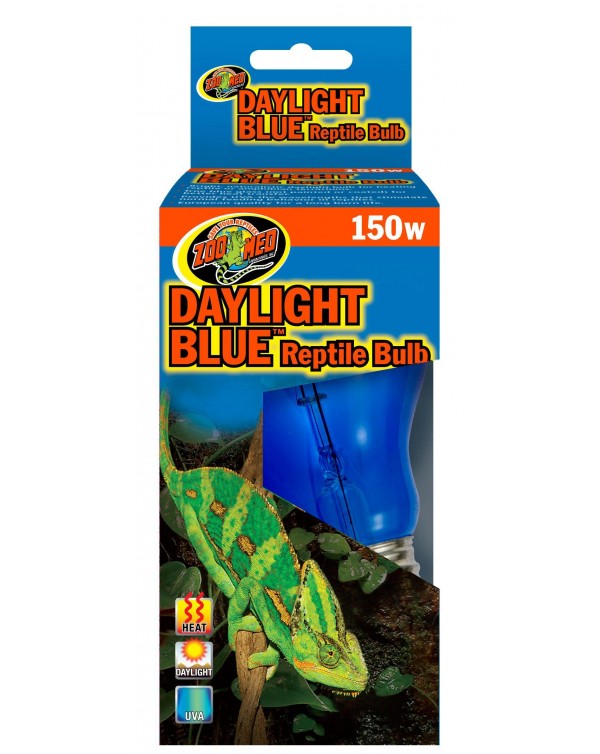 Zoomed - Daylight Blue Bulb
