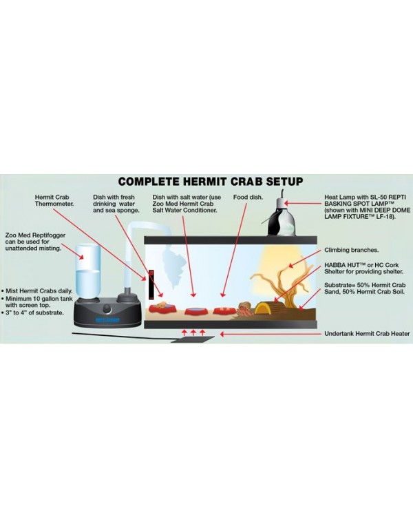 Zoomed - Reptihabitat -Hermit Crab Kit - 10 Gallon Kit
