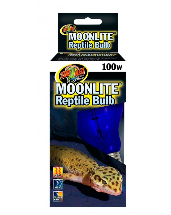 Zoomed Moonlite Bulb