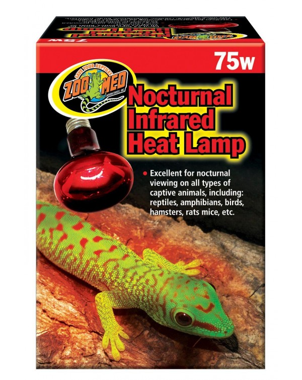 Zoomed Nocturnal Infrared Heat Lamp